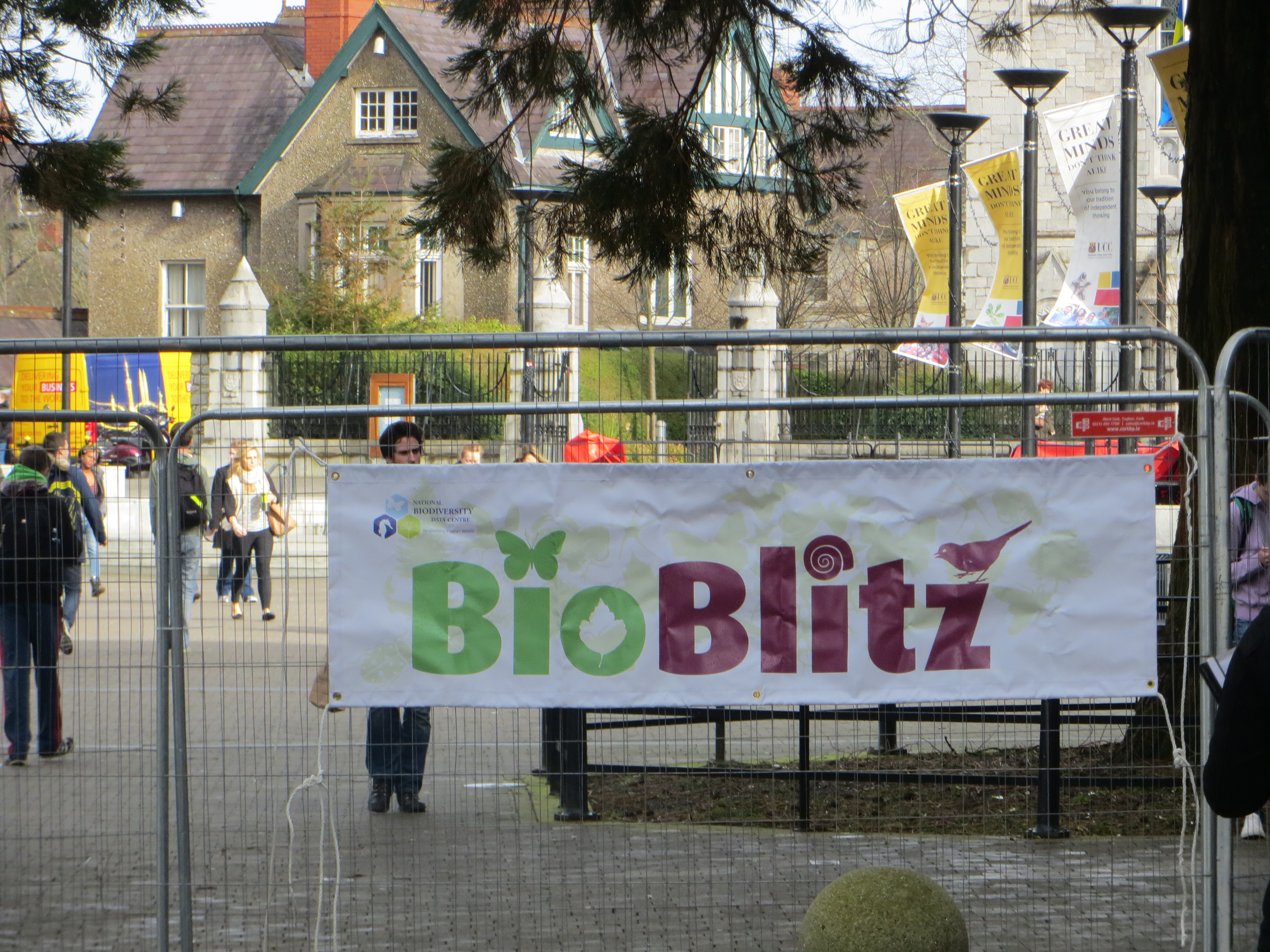 Ireland's 1st Intervarsity Bioblitz 1st-2nd May at UCC