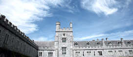 UCC first Irish university to join consortium studying slavery