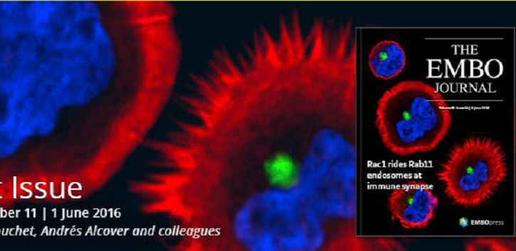 UCC research on cover of EMBO journal