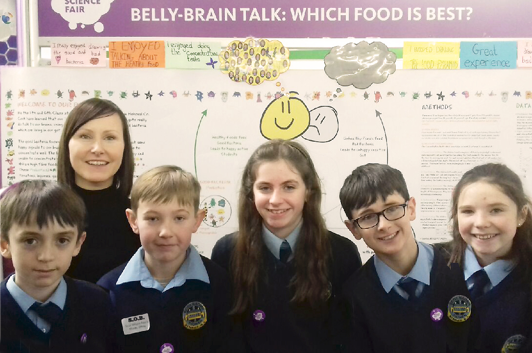 Neuroscience outreach to RDS Young Scientist Competition