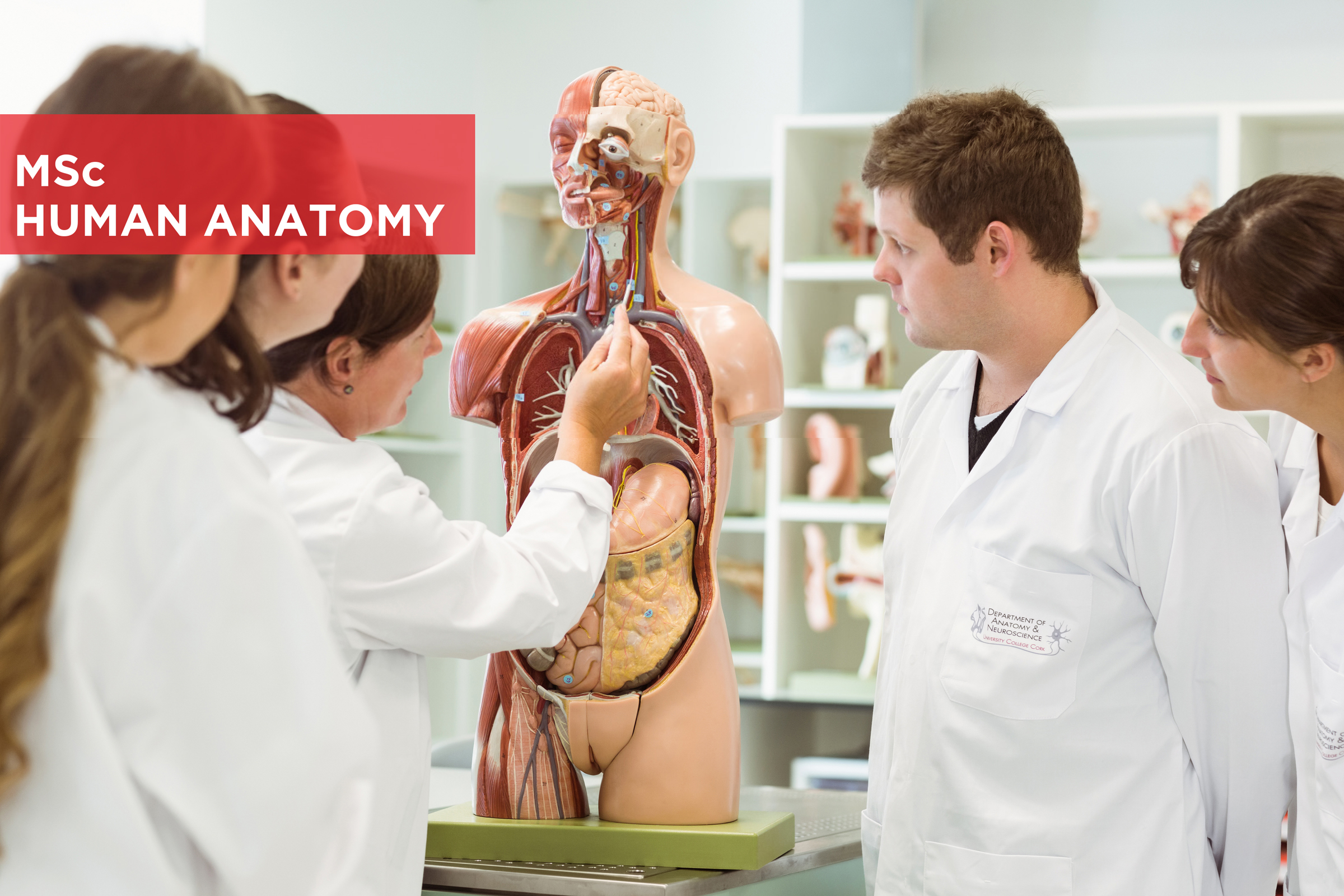 MSc Human Anatomy course 2020 Now accepting applications