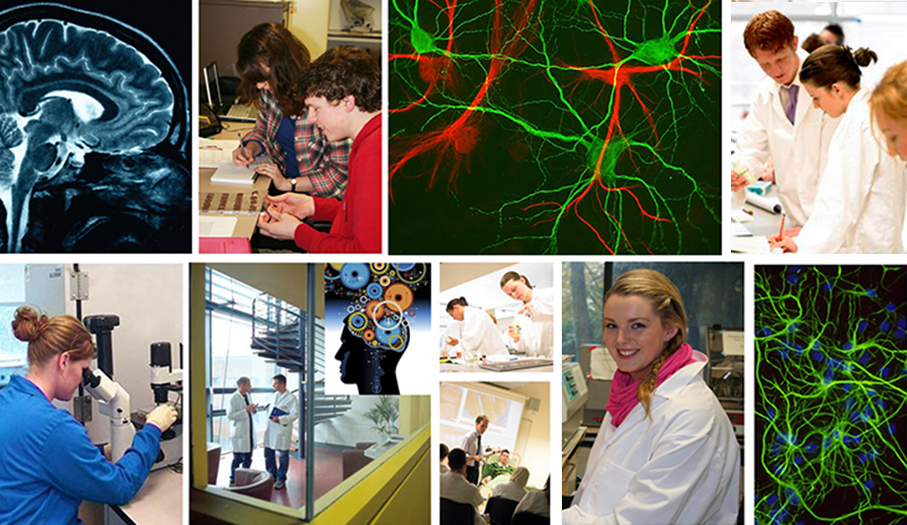 Welcome to the Department of Anatomy & Neuroscience Postgraduate pages 