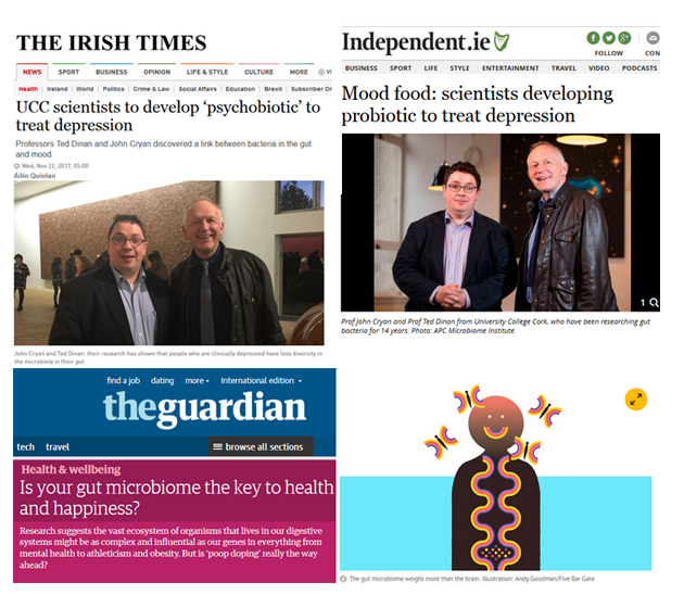 Prof Cryan Profiled in Guardian, Irish Times & Independent