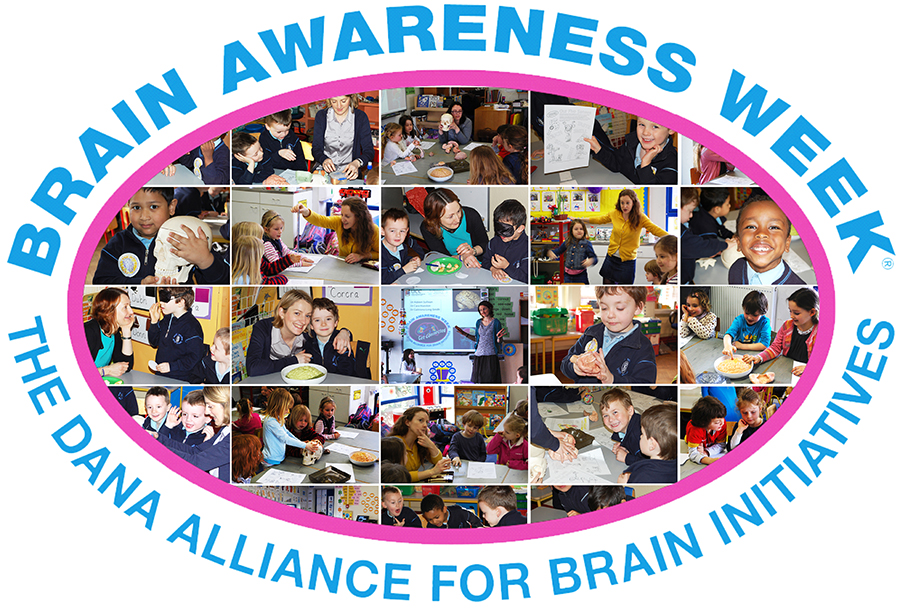 UCC Neuroscientists visit local primary schools for Brain Awareness Week