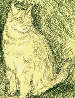 Sketch of a cat by Robert Fourie