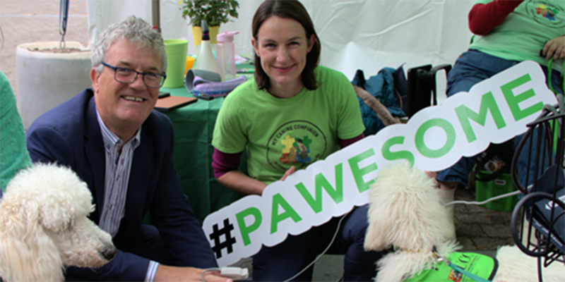 Fresher Fest Fun: Promoting Academic Wellbeing & Support with #PAWS