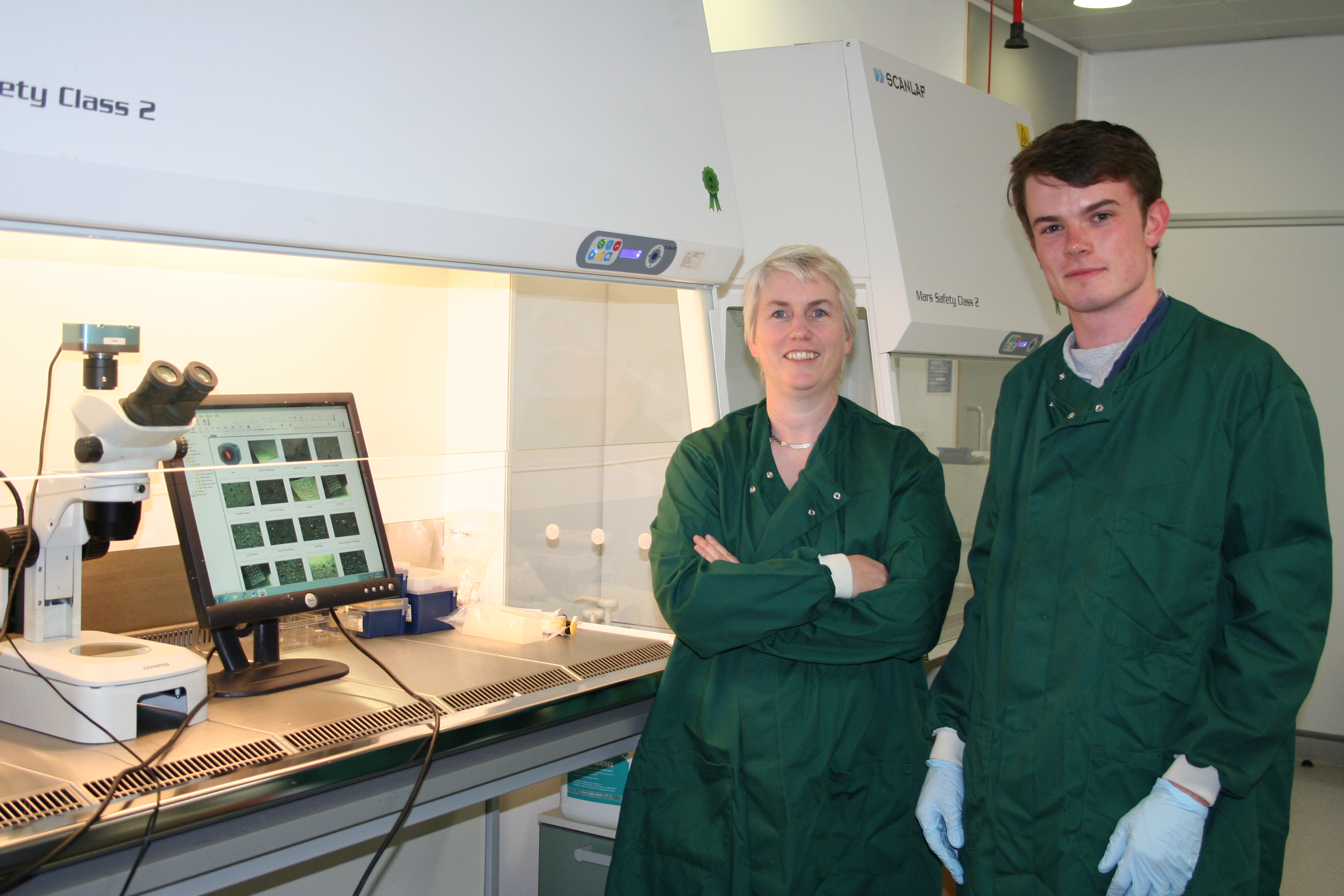 Stephen McInerney has been awarded a Health Research Board Studentship