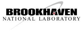 Brookhaven National Laboratory logo