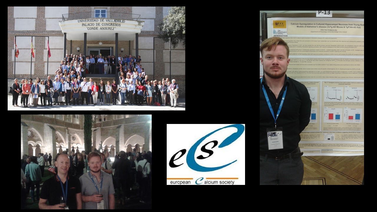 The XIV International Meeting of the European Calcium Society in Valladolid, Spain 