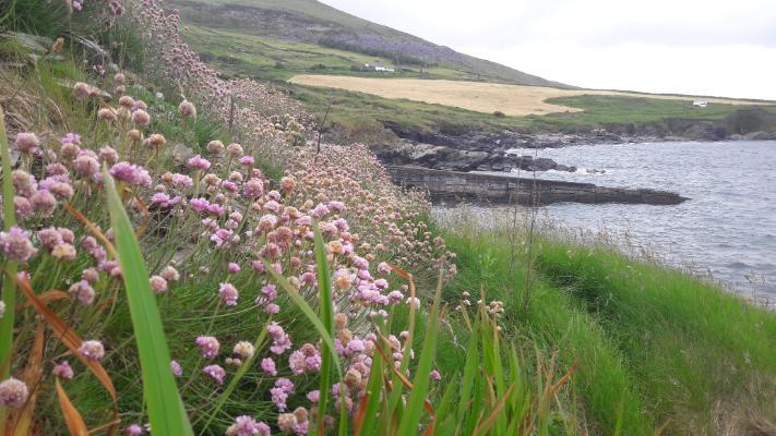 Connecting with communities of Iveragh Peninsula 