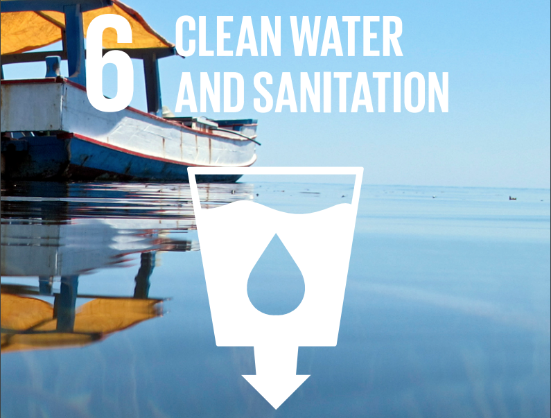 SDG indicator 6.3.2: Progress on Ambient Water Quality