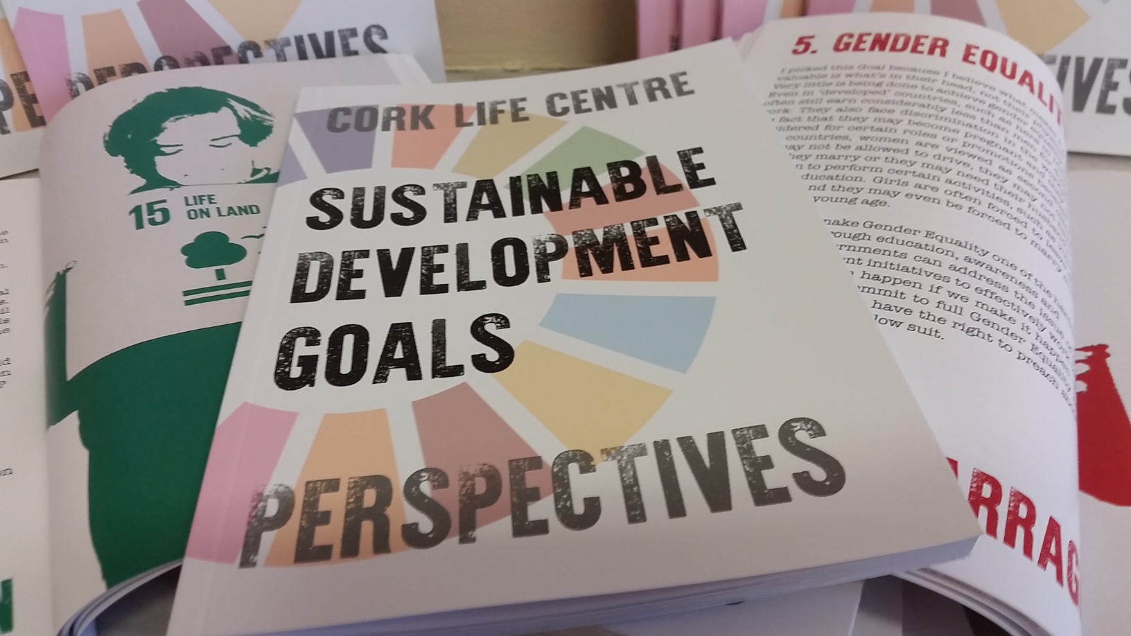 Sustainable Development Goals  Book 
