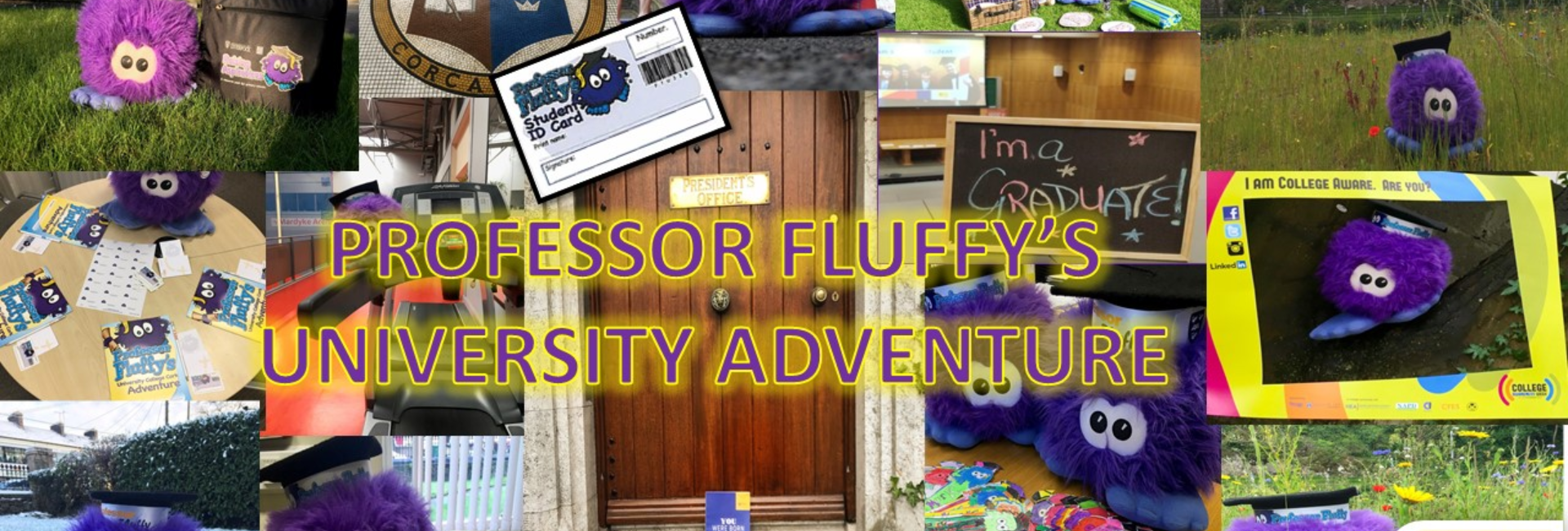 Professor Fluffy Programme Banner