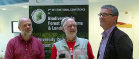 Irish forests are critical to Irish biodiversity