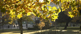 Good news as UCC graduate employment rates soar