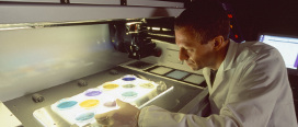 Research now indicates that reconditioning the tumour microenvironment with immunogene therapy suppresses tumour development and progression (Pictured: A scientist at work in a UCC Science Laboratory).