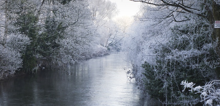 A Song of Winter