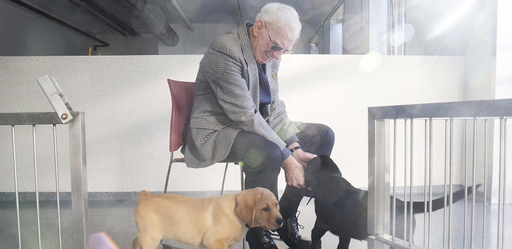 Irish Guide Dogs co-founder to be awarded  Honorary Doctorate from UCC 