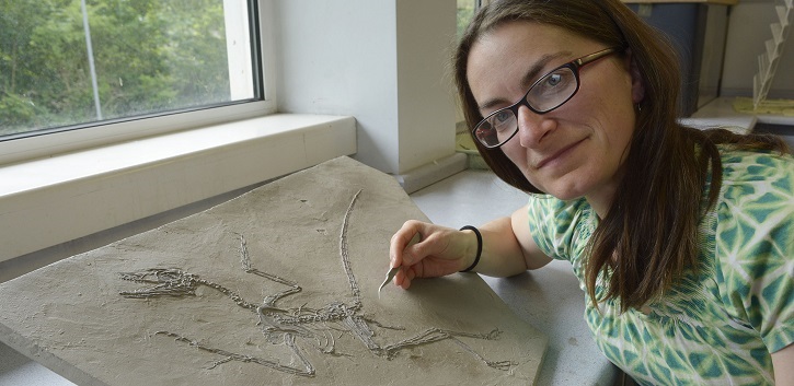 Dino-bird dandruff research head and shoulders above rest