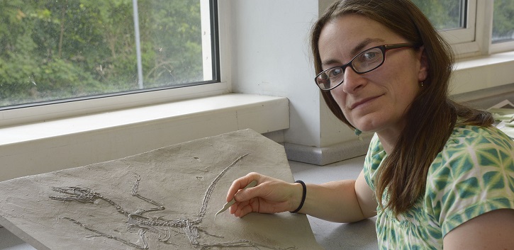 The research was carried out by an international team, which included UCC palaeontologist Dr Maria McNamara (pictured). 