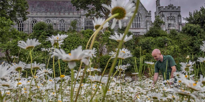 UCC ranked as one of the most ‘sustainable universities’ in the world 

