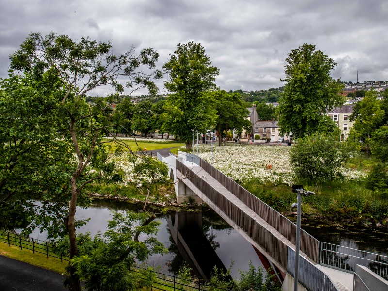 University College Cork to host the Elements of AI online course in Ireland