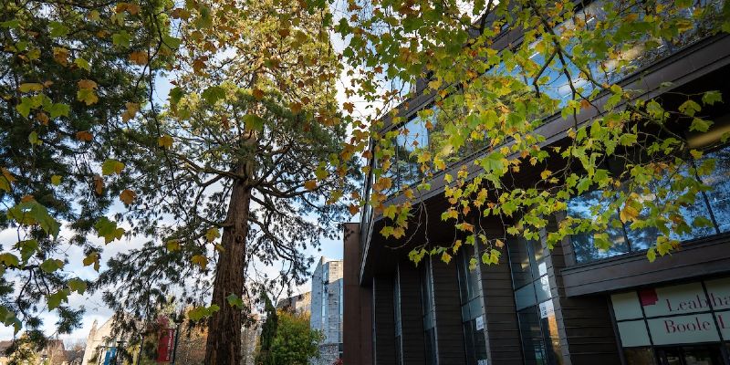 UCC’s iconic tree collection receives international recognition

