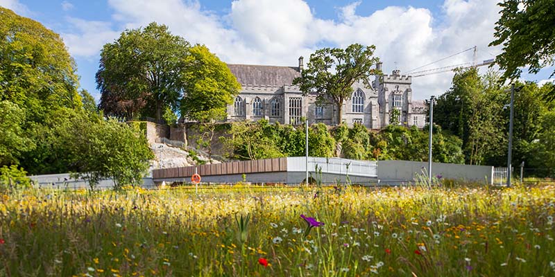 UCC ranked as a global leader working towards a sustainable future