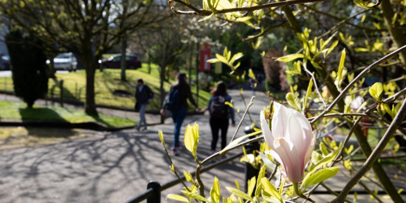 'February is the border between winter and spring'