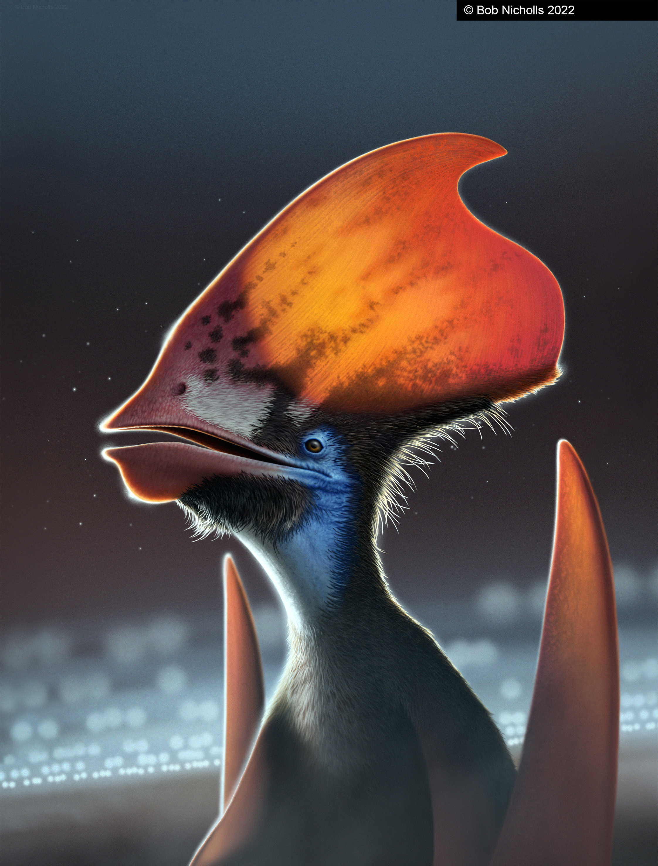 Artist’s reconstruction of the feathered pterosaur Tupandactylus, showing orange and blue hues
