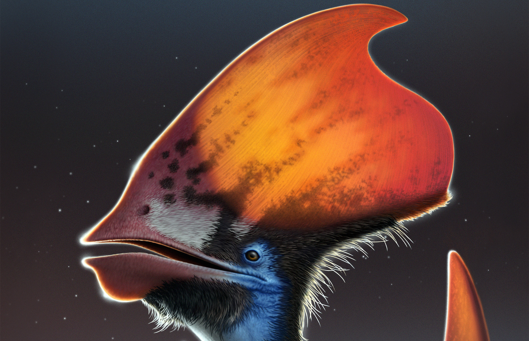 Pterosaur discovery solves ancient feather mystery 