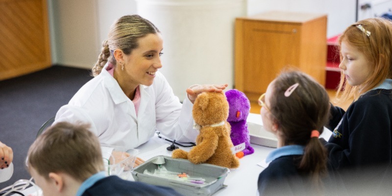 Teddy Bear Hospital treats sick and injured teddies