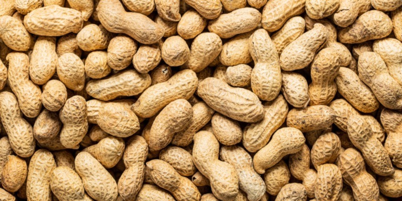 Skin patch shows promise in toddlers with peanut allergies