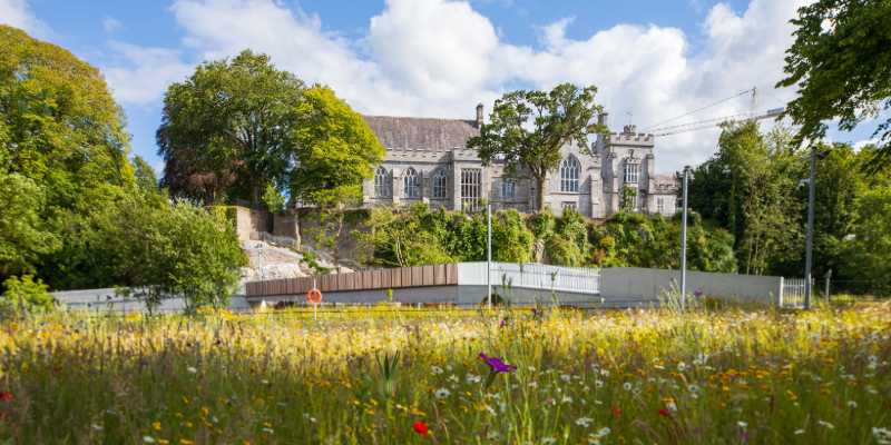 UCC ranked in top 100 universities worldwide for performing arts