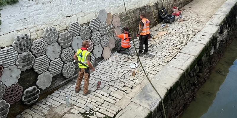 Photo: The installation of the Living Seawalls in Cobh, Co. Cork. The project has received funding under the Research Ireland COALESCE 2025 Programme.