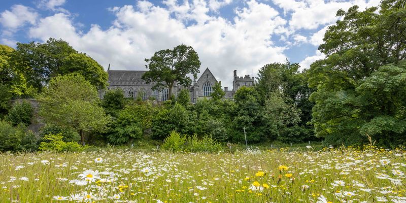 UCC continues to rise in latest QS World University Rankings