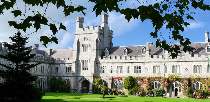 Former UCC VP chairs €12m bid