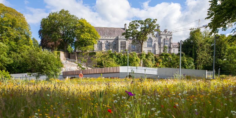 UCC research powers major climate change report 