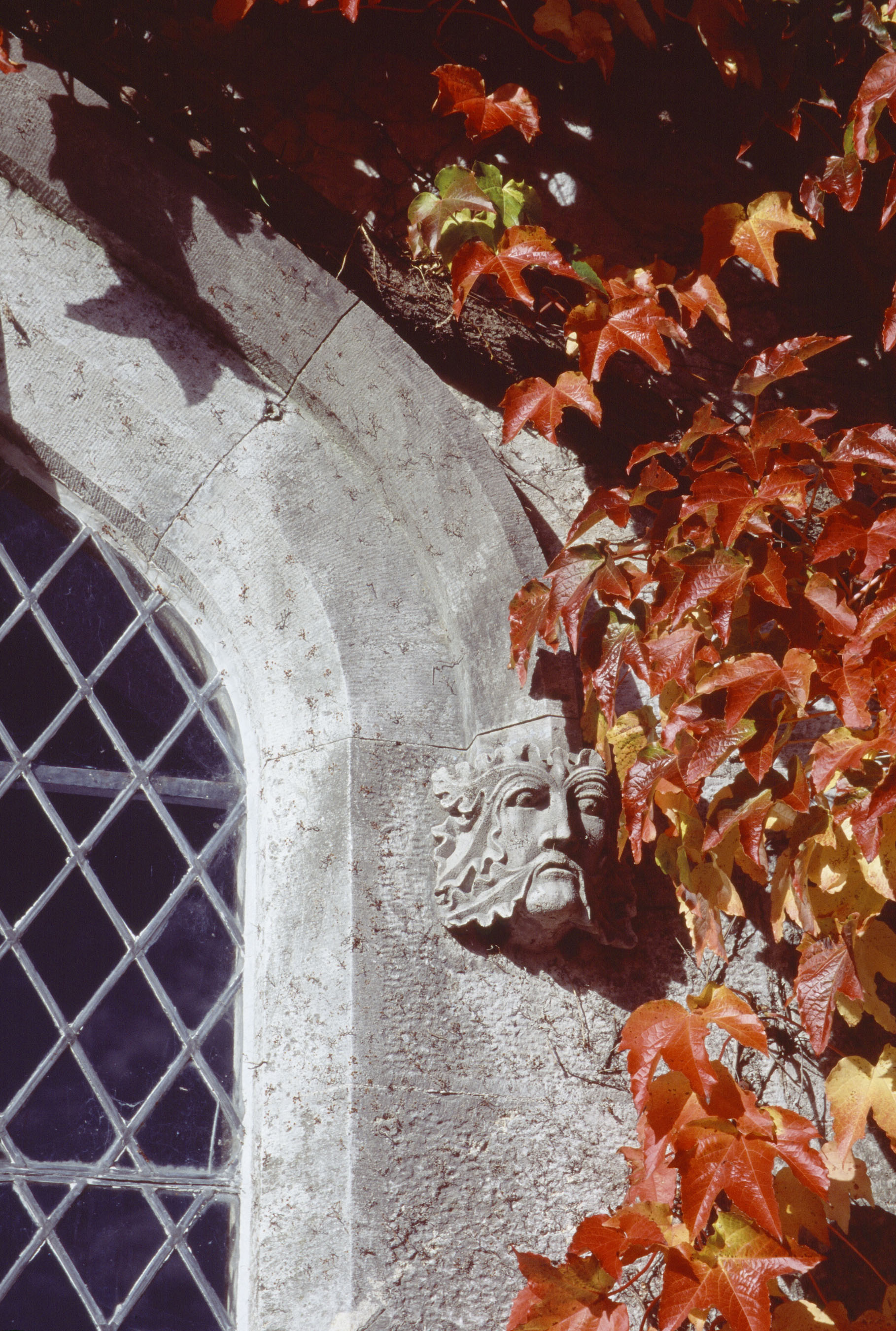 Canon Sheehan centenary conference at UCC