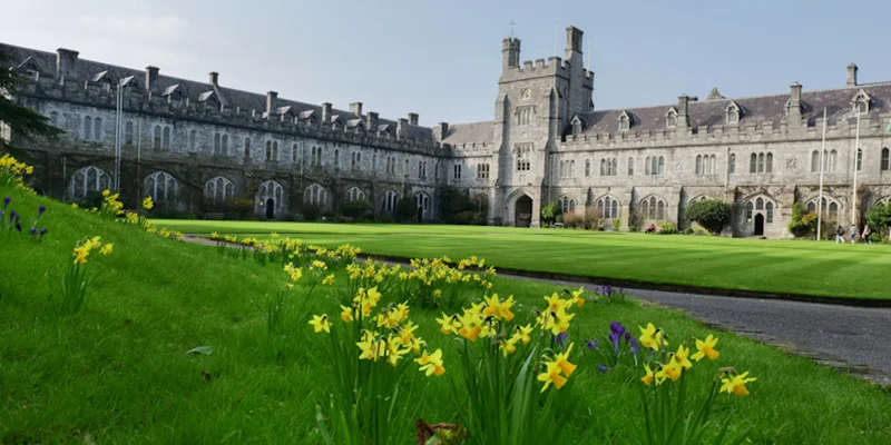 UCC ranked 8th in the world by the Times Higher Education prestigious Impact Rankings\n\n