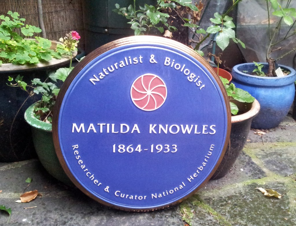 Matilda Knowles: Plaque Unveiling