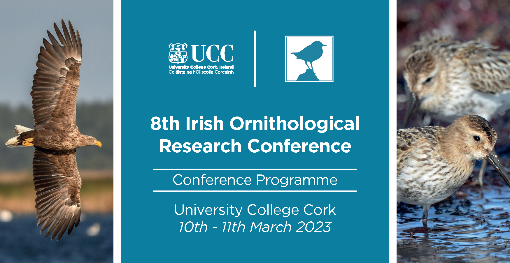 Ornithology Conference at UCC explores the ecology and conservation of birds