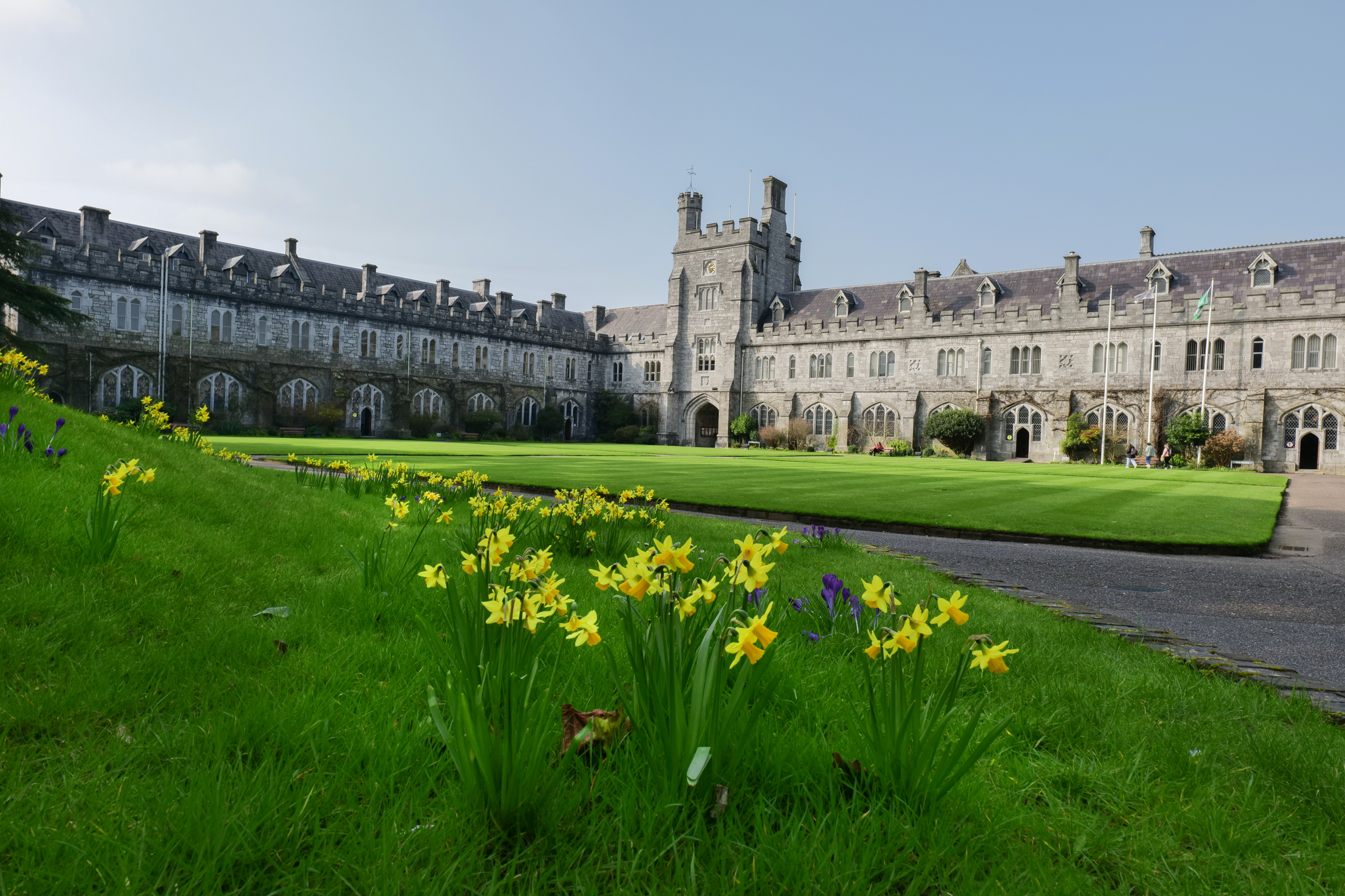 UCC ranked 8th in the world by the Times Higher Education prestigious Impact Rankings

