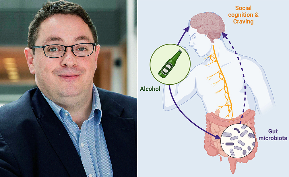 Professor John F. Cryan and colleagues publish article in Lancet EBIOMedicine showing that youth binge drinking is linked to gut microbiome change