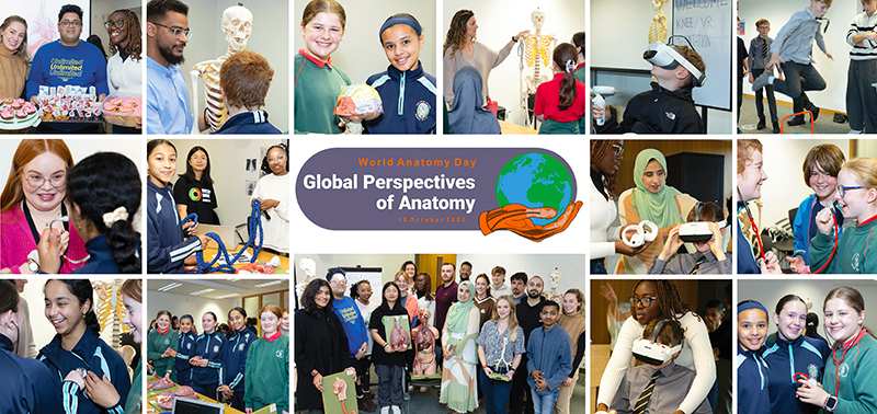 MSc Human Anatomy Students Celebrate World Anatomy Day with Innovative Outreach Event 