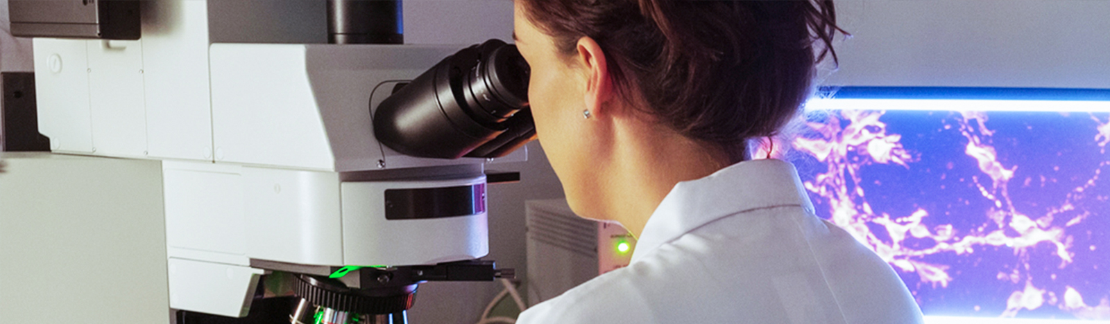 Developmental Neuroscience and Regeneration