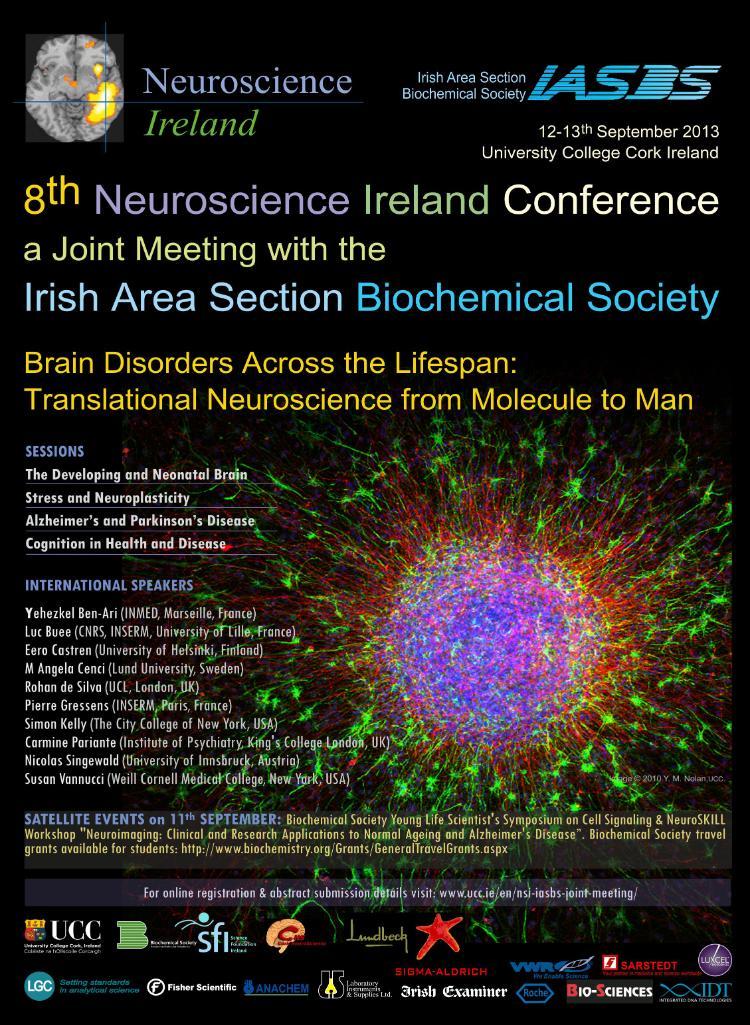NSI Conference Poster