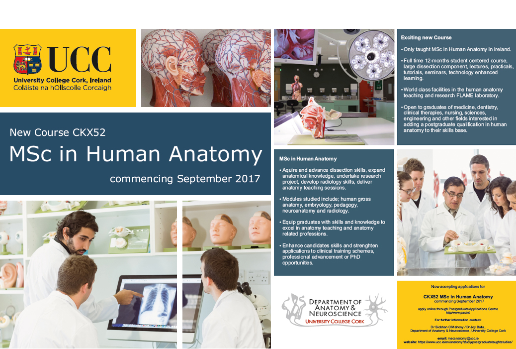 New taught 'MSc in Human Anatomy' now accepting applicants