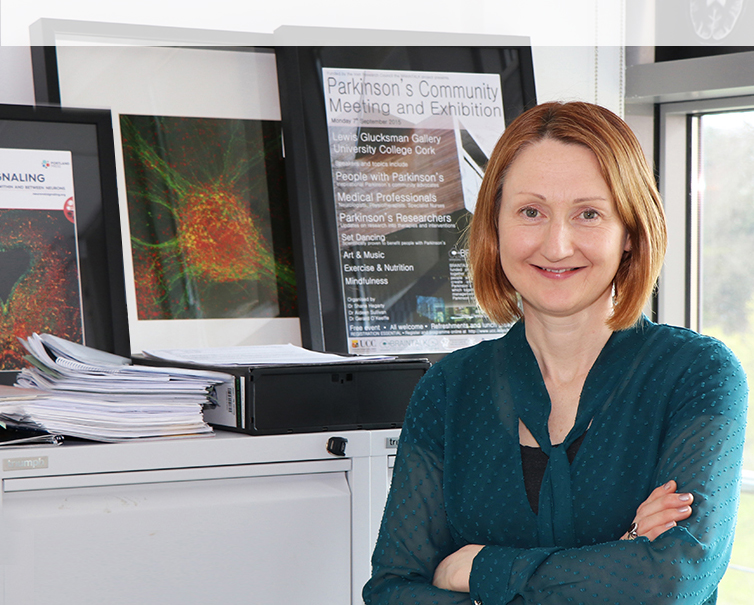 Professor Aideen Sullivan Develops BSc Medical & Health Sciences degree. 