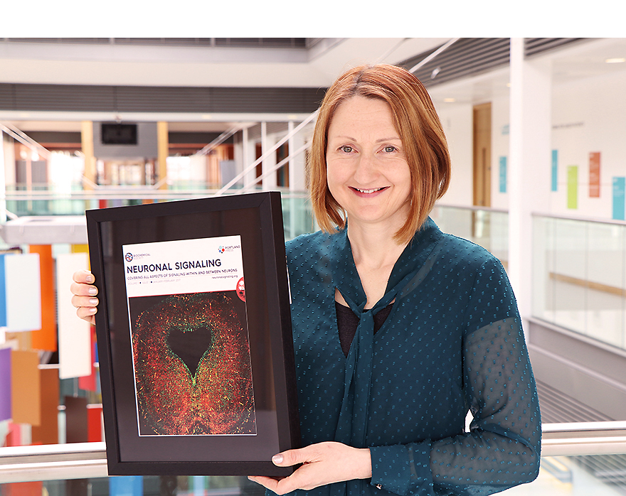 Aideen Sullivan appointed Editor in Chief of Neuronal Signalling